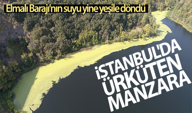 https m bafrahaber com istanbul da urkuten manzara elmali baraji nin suyu yine yesile dondu 177496 html