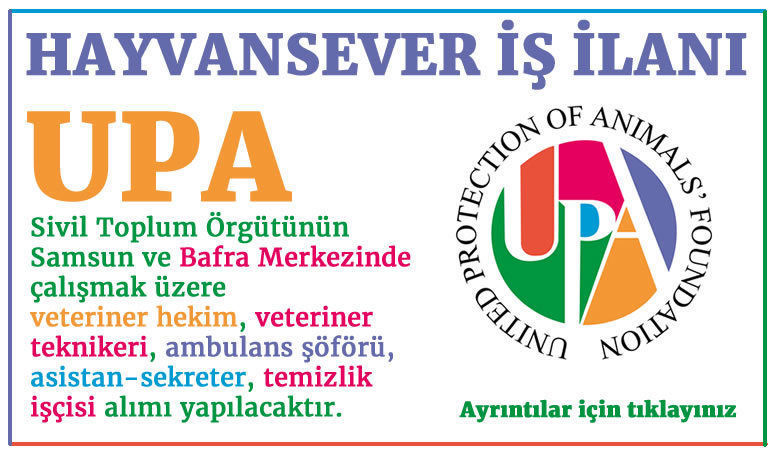 Veteriner Teknikeri Is Ilanlari